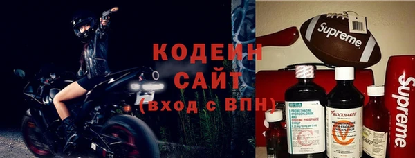 прущие грибы Алзамай