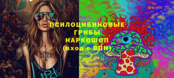 прущие грибы Алзамай