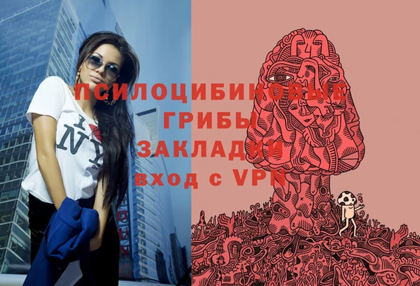 спайс Алексеевка