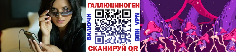 Галлюциногенные грибы Cubensis Топки