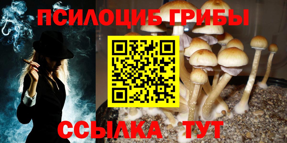 Галлюциногенные грибы прущие грибы  Вход с VPN  Топки  Галлюциногенные грибы мухоморы 